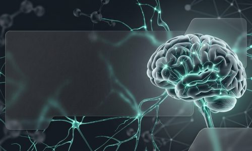 Foundations of Neurosciences